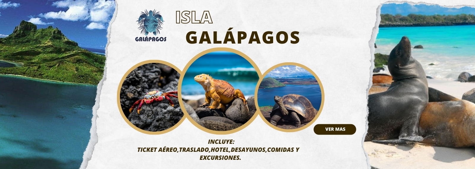 como llegar a islas galápagos
